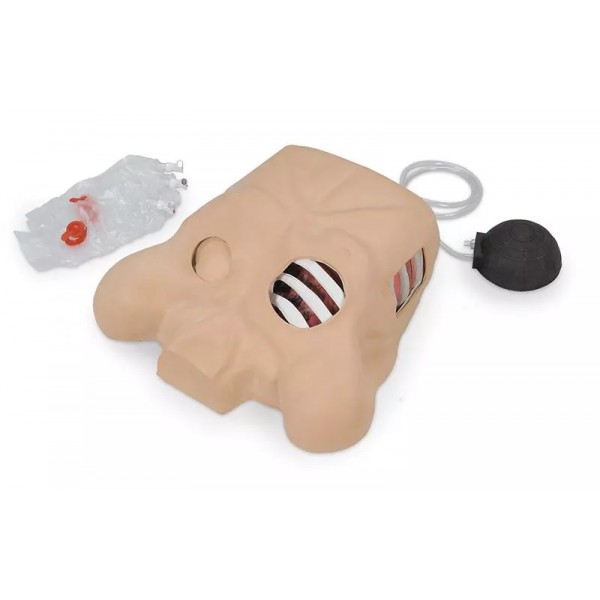 Chest Tube Manikin – Προπλάσμα Εκπαίδευσης Θωρακικής Παροχέτευσης