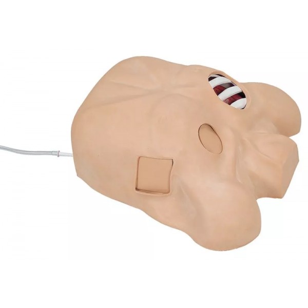 Chest Tube Manikin – Προπλάσμα Εκπαίδευσης Θωρακικής Παροχέτευσης