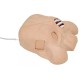 Chest Tube Manikin – Προπλάσμα Εκπαίδευσης Θωρακικής Παροχέτευσης