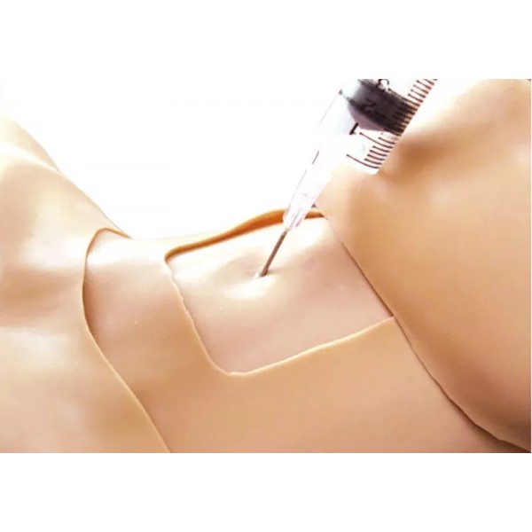 Thoracic Trauma Trainer – Εκπαιδευτικό Προπλάσμα Θωρακικού Τραύματος