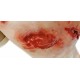 Trauma Training Torso – Εκπαιδευτικός Προπλάσμα Θώρακα για Τραύματα