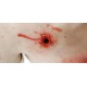 Trauma Training Torso – Εκπαιδευτικός Προπλάσμα Θώρακα για Τραύματα