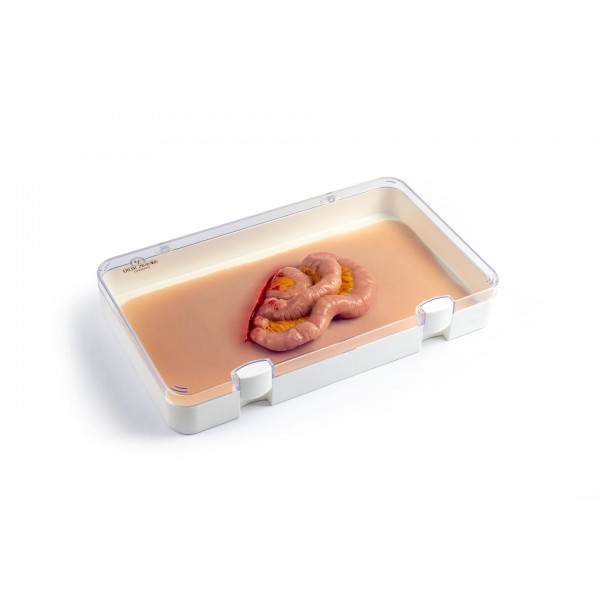 Wound Moulage "Protruding Small Intestines" – Προσομοίωση Εξόδου Λεπτού Εντέρου από Κοιλιακό Τραύμα