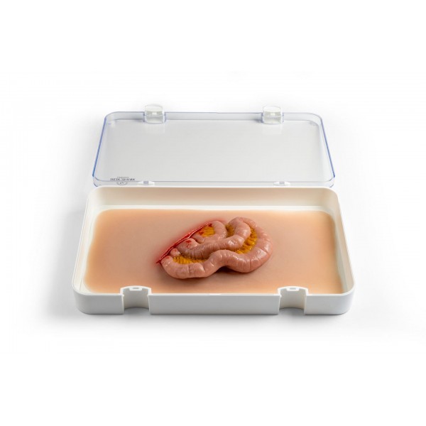 Wound Moulage "Protruding Small Intestines" – Προσομοίωση Εξόδου Λεπτού Εντέρου από Κοιλιακό Τραύμα