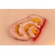 Wound Moulage "Protruding Small Intestines" – Προσομοίωση Εξόδου Λεπτού Εντέρου από Κοιλιακό Τραύμα