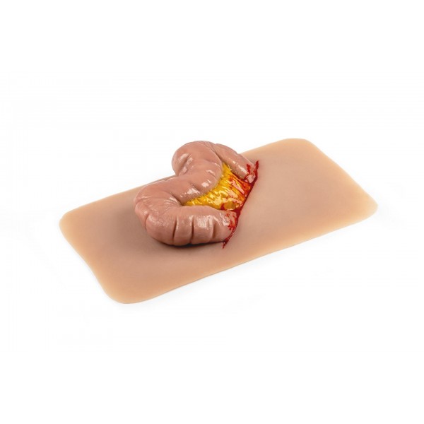 Wound Moulage "Protrusion of Large Intestines" – Προσομοίωση Εξόδου Εντέρου από Κοιλιακό Τραύμα