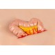 Wound Moulage "Protrusion of Large Intestines" – Προσομοίωση Εξόδου Εντέρου από Κοιλιακό Τραύμα