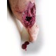 Emergency Lower Leg – Εκπαιδευτικό Μοντέλο Ποδιού με Τραύμα από Έκρηξη