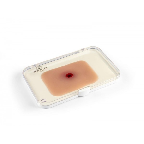 Wound Moulage "Bullet Entrance Hole" – Προσομοίωση Τραύματος Εισόδου Σφαίρας