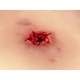 Wound Moulage "Bullet Exit Hole" – Προσομοίωση Τραύματος Εξόδου Σφαίρας Wound Moulage "Bullet Exit Hole" – Προσομοίωση Τραύματος Εξόδου Σφαίρας
