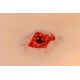 Wound Moulage – Τραύμα από Σφαίρα στο Πόδι με Λειτουργία Αιμορραγίας Wound Moulage – Τραύμα από Σφαίρα στο Πόδι με Λειτουργία Αιμορραγίας