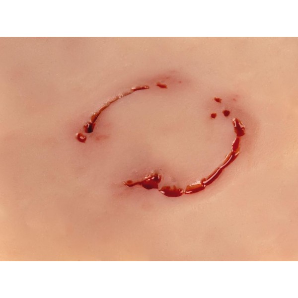 Wound Moulage "Human Bite" – Προσομοίωση Ανθρώπινου Δαγκώματος Wound Moulage "Human Bite" – Προσομοίωση Ανθρώπινου Δαγκώματος