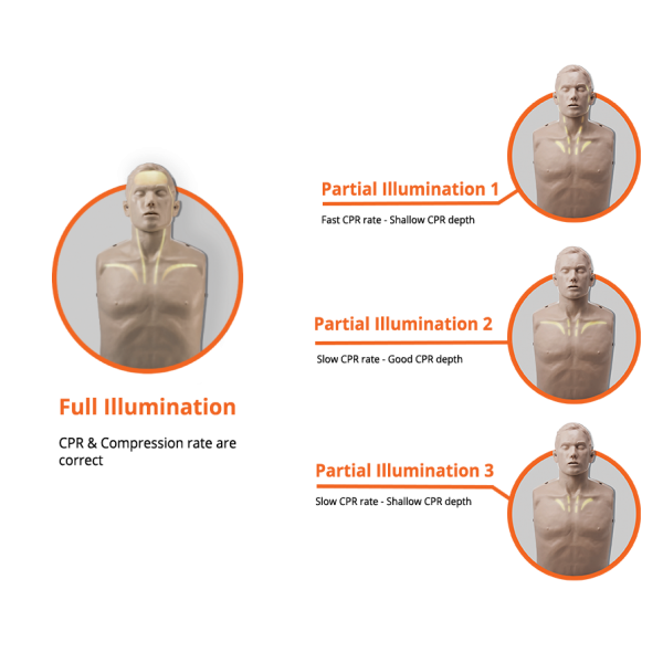 Εκπαιδευτικό Πρόπλασμα CPR BRAYDEN LIGHTS (Λευκό ή κόκκινο led)