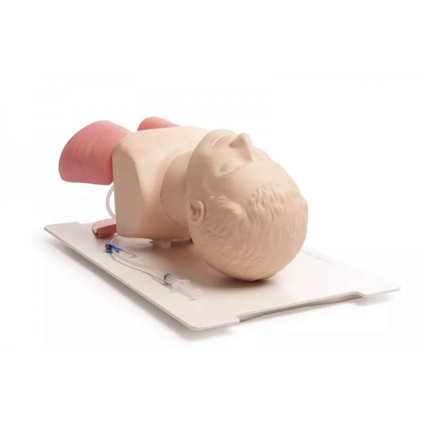 Προσομοιωτής Διαχείρισης Αεραγωγού (Airway Management Trainer) Προσομοιωτής Διαχείρισης Αεραγωγού (Airway Management Trainer)