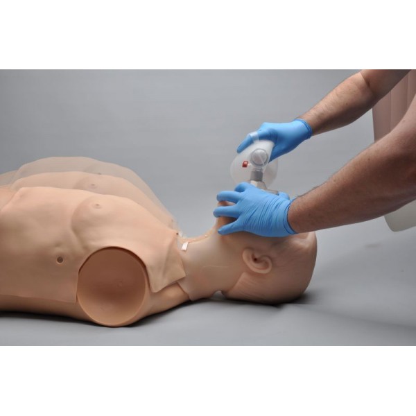 HAL® – Εκπαιδευτής Πολλαπλών Χρήσεων για Αεραγωγούς και Καρδιοπνευμονική Αναζωογόνηση HAL® – Εκπαιδευτής Πολλαπλών Χρήσεων για Αεραγωγούς και Καρδιοπνευμονική Αναζωογόνηση