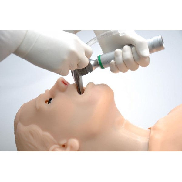 HAL® – Εκπαιδευτής Πολλαπλών Χρήσεων για Αεραγωγούς και Καρδιοπνευμονική Αναζωογόνηση HAL® – Εκπαιδευτής Πολλαπλών Χρήσεων για Αεραγωγούς και Καρδιοπνευμονική Αναζωογόνηση