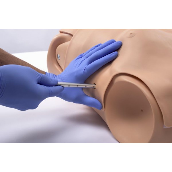 HAL® – Εκπαιδευτής Πολλαπλών Χρήσεων για Αεραγωγούς και Καρδιοπνευμονική Αναζωογόνηση HAL® – Εκπαιδευτής Πολλαπλών Χρήσεων για Αεραγωγούς και Καρδιοπνευμονική Αναζωογόνηση