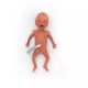 NENA Sim Preemie Xact – Προσομοιωτής Πρόωρου Νεογνού NENA Sim Preemie Xact – Προσομοιωτής Πρόωρου Νεογνού
