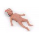 NENA Sim Preemie Xcel – Προσομοιωτής Πρόωρου Νεογνού NENA Sim Preemie Xcel – Προσομοιωτής Πρόωρου Νεογνού