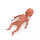 NENA Sim Preemie Xcel – Προσομοιωτής Πρόωρου Νεογνού NENA Sim Preemie Xcel – Προσομοιωτής Πρόωρου Νεογνού