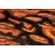 Wound Moulage "3rd Degree Burn" – Προσομοίωση Εγκαύματος 3ου Βαθμού 2