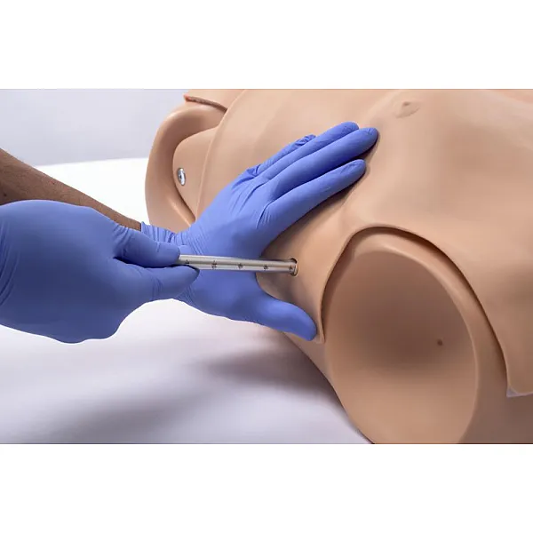 HAL® – Εκπαιδευτής Πολλαπλών Χρήσεων για Αεραγωγούς και Καρδιοπνευμονική Αναζωογόνηση HAL® – Εκπαιδευτής Πολλαπλών Χρήσεων για Αεραγωγούς και Καρδιοπνευμονική Αναζωογόνηση