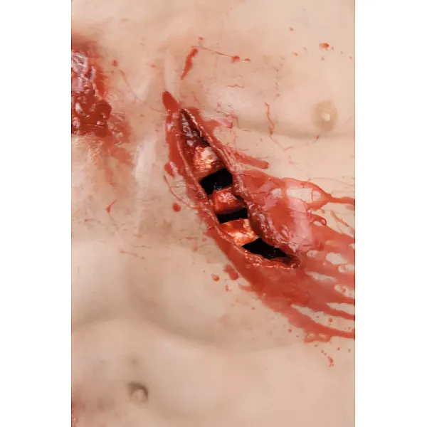 Trauma Training Torso – Εκπαιδευτικός Προπλάσμα Θώρακα για Τραύματα Trauma Training Torso – Εκπαιδευτικός Προπλάσμα Θώρακα για Τραύματα