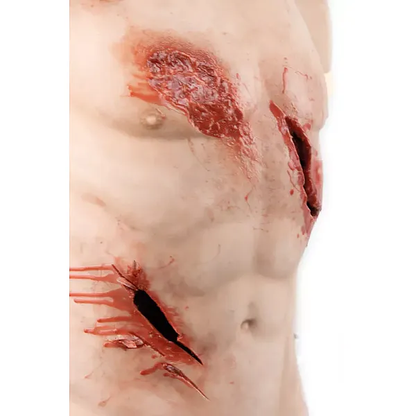 Trauma Training Torso – Εκπαιδευτικός Προπλάσμα Θώρακα για Τραύματα Trauma Training Torso – Εκπαιδευτικός Προπλάσμα Θώρακα για Τραύματα