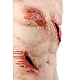 Trauma Training Torso – Εκπαιδευτικός Προπλάσμα Θώρακα για Τραύματα Trauma Training Torso – Εκπαιδευτικός Προπλάσμα Θώρακα για Τραύματα