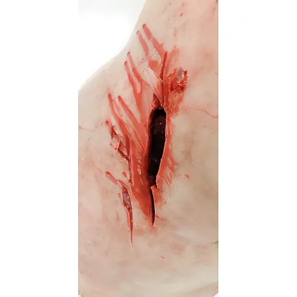 Trauma Training Torso – Εκπαιδευτικός Προπλάσμα Θώρακα για Τραύματα Trauma Training Torso – Εκπαιδευτικός Προπλάσμα Θώρακα για Τραύματα