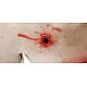 Trauma Training Torso – Εκπαιδευτικός Προπλάσμα Θώρακα για Τραύματα Trauma Training Torso – Εκπαιδευτικός Προπλάσμα Θώρακα για Τραύματα
