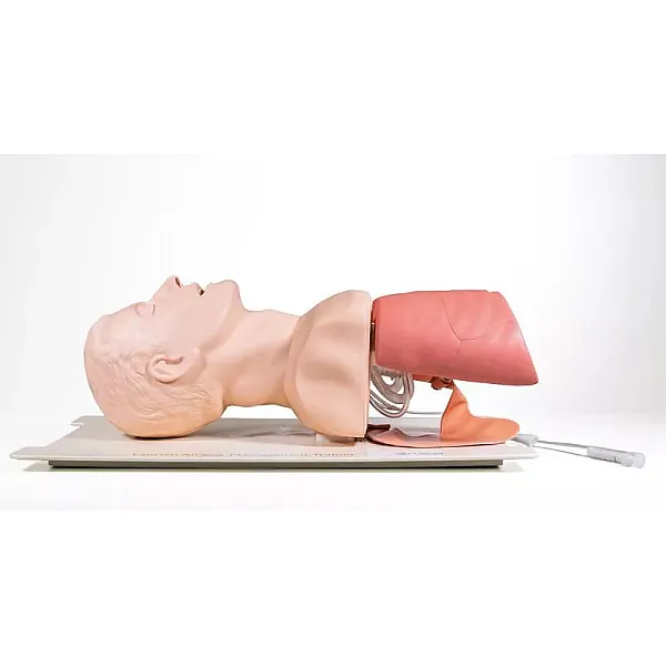 Προσομοιωτής Διαχείρισης Αεραγωγού (Airway Management Trainer)