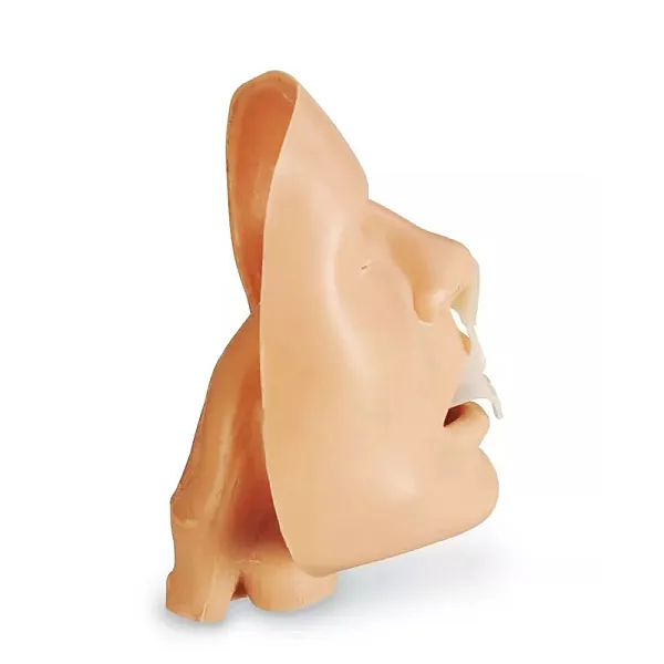 Προσομοιωτής Αεραγωγού (Airway Trainer) Προσομοιωτής Αεραγωγού (Airway Trainer)