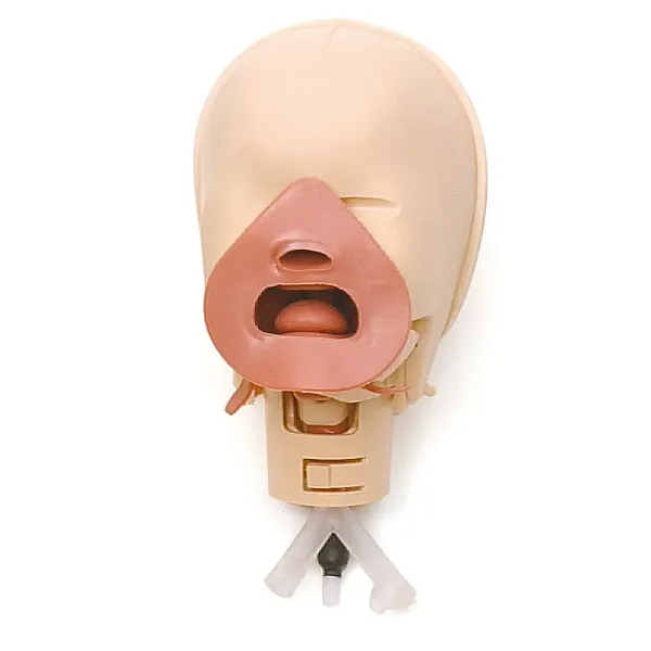 Εκπαιδευτής Διασωλήνωσης Νεογνού (Neonatal Intubation Trainer) Εκπαιδευτής Διασωλήνωσης Νεογνού (Neonatal Intubation Trainer)