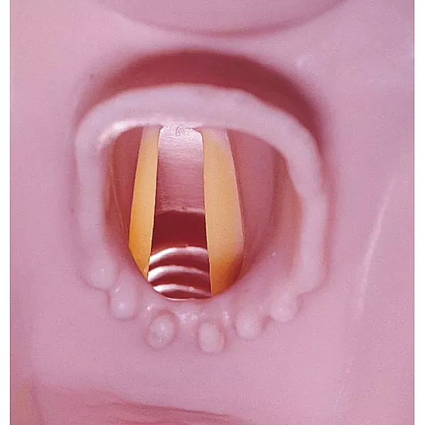 Airway Larry – Εκπαιδευτής αεραγωγού για R10052